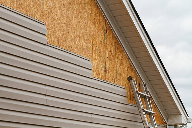 Professional Siding technician working in Branchville, VA
